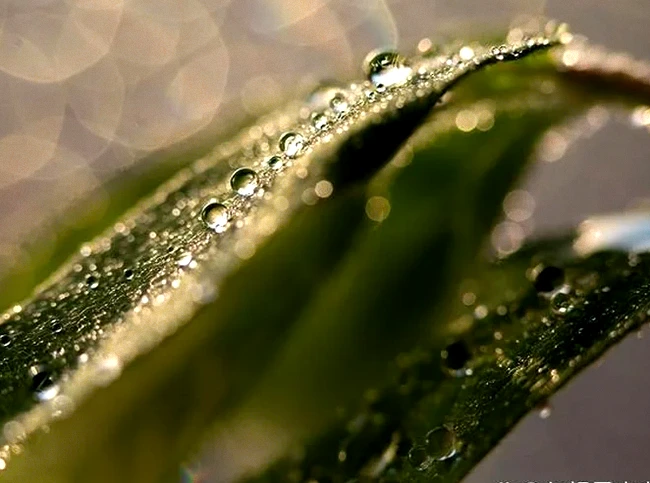 30句成长励志句：深耕自己，成为更好的自己